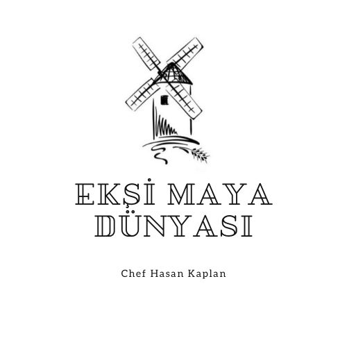 Ekşi Mayalı Ekmeğin Tarihi: İnsanlığın İlk Fermantasyon Mirası